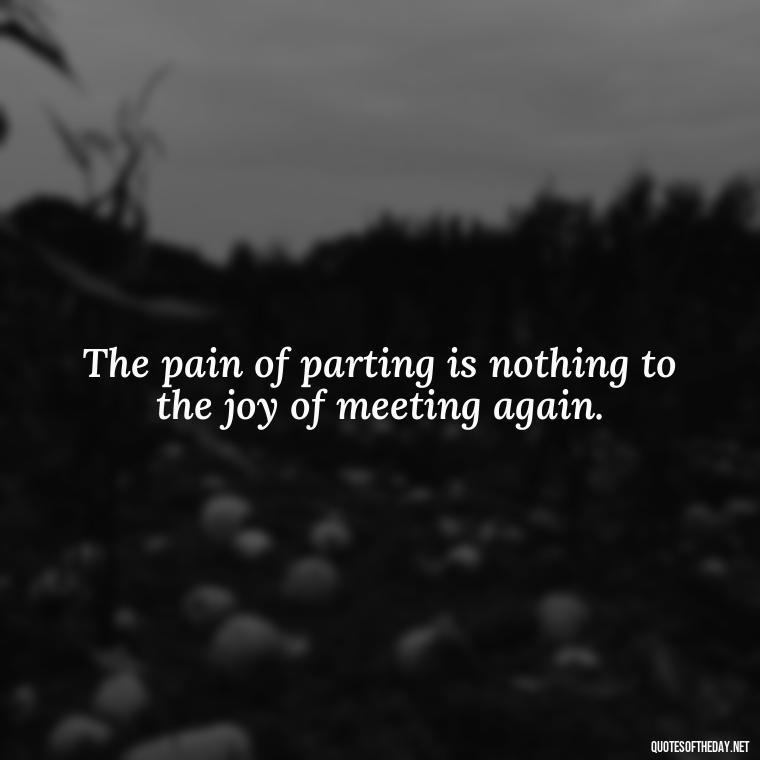 The pain of parting is nothing to the joy of meeting again. - Motivational Quotes For Someone Who Lost A Loved One