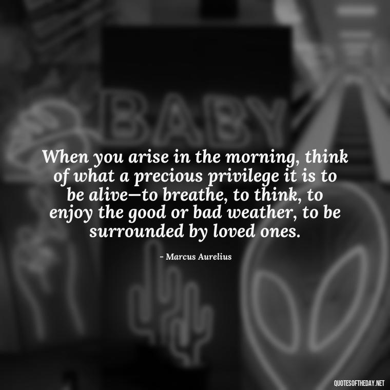 When you arise in the morning, think of what a precious privilege it is to be alive—to breathe, to think, to enjoy the good or bad weather, to be surrounded by loved ones. - Marcus Aurelius Love Quotes