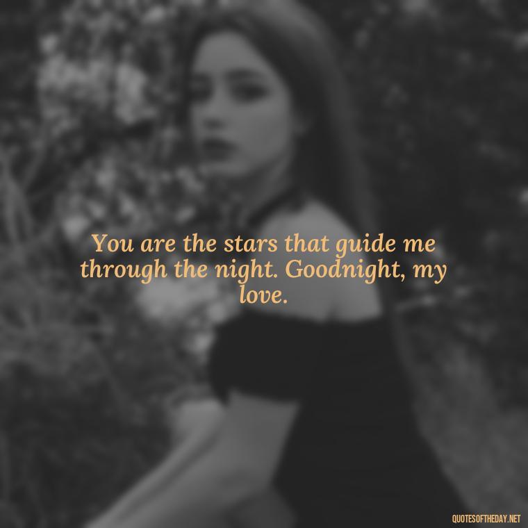 You are the stars that guide me through the night. Goodnight, my love. - Love Good Night Quotes For Him