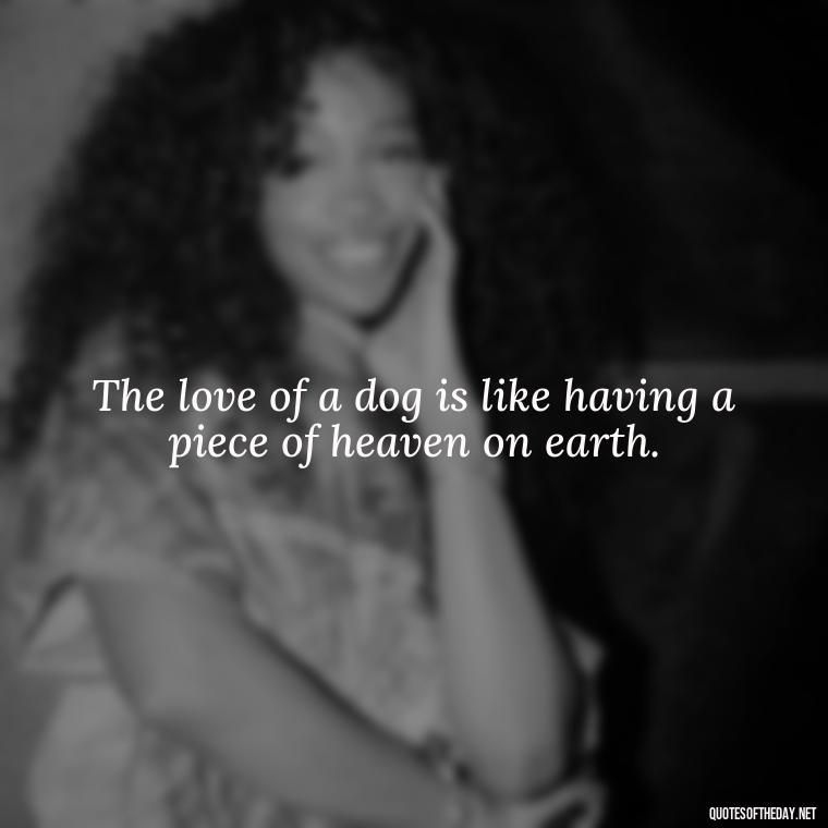 The love of a dog is like having a piece of heaven on earth. - A Dogs Love Quote