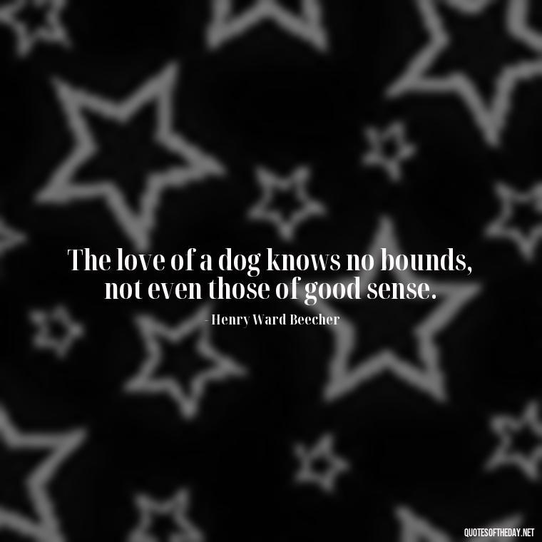 The love of a dog knows no bounds, not even those of good sense. - Quotes About Pets Unconditional Love