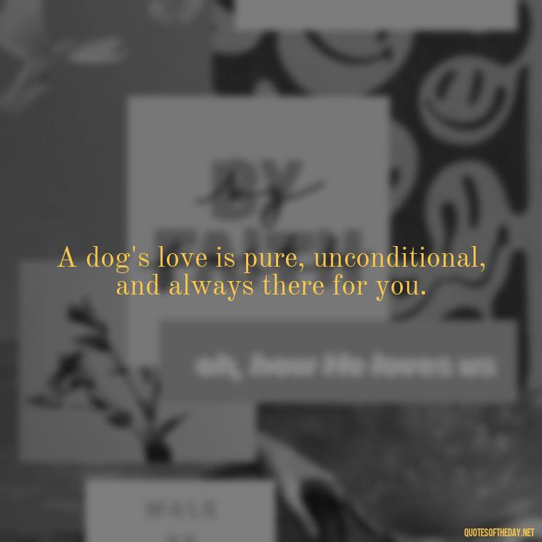 A dog's love is pure, unconditional, and always there for you. - Quote About Dogs Love