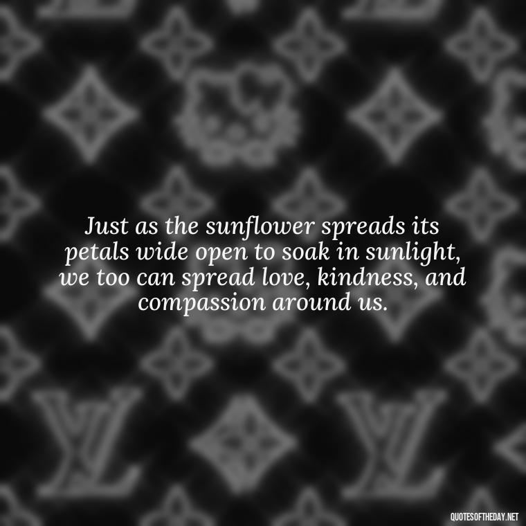 Just as the sunflower spreads its petals wide open to soak in sunlight, we too can spread love, kindness, and compassion around us. - Positive Sunflower Quotes Short