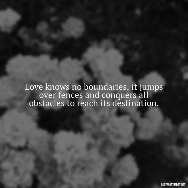 Love knows no boundaries, it jumps over fences and conquers all obstacles to reach its destination. - Love Quote Pics For Her