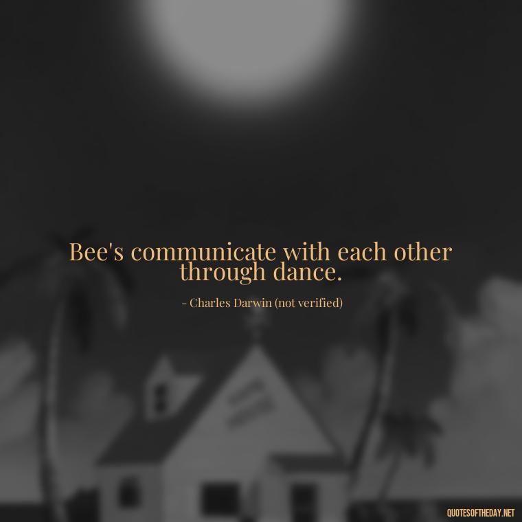 Bee's communicate with each other through dance. - Bee Quotes Short