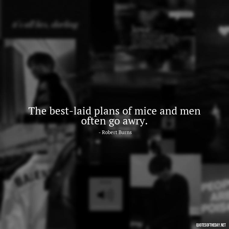 The best-laid plans of mice and men often go awry. - I Love It When A Plan Comes Together Quote