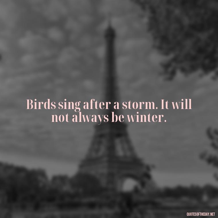 Birds sing after a storm. It will not always be winter. - Short Quotes On Birds