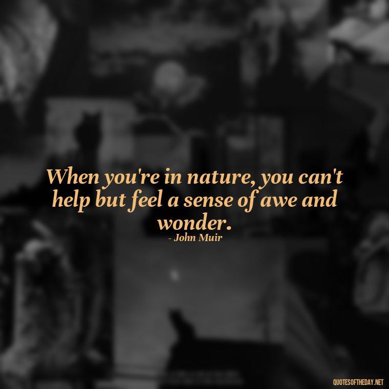 When you're in nature, you can't help but feel a sense of awe and wonder. - Short Meaningful Hunting Quotes