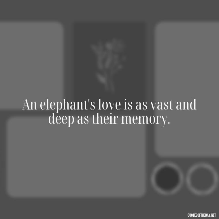 An elephant's love is as vast and deep as their memory. - Elephant Love Quotes