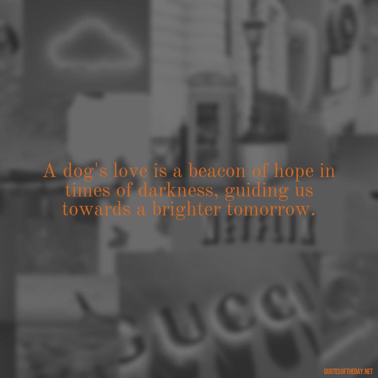 A dog's love is a beacon of hope in times of darkness, guiding us towards a brighter tomorrow. - Dogs Love Unconditionally Quotes