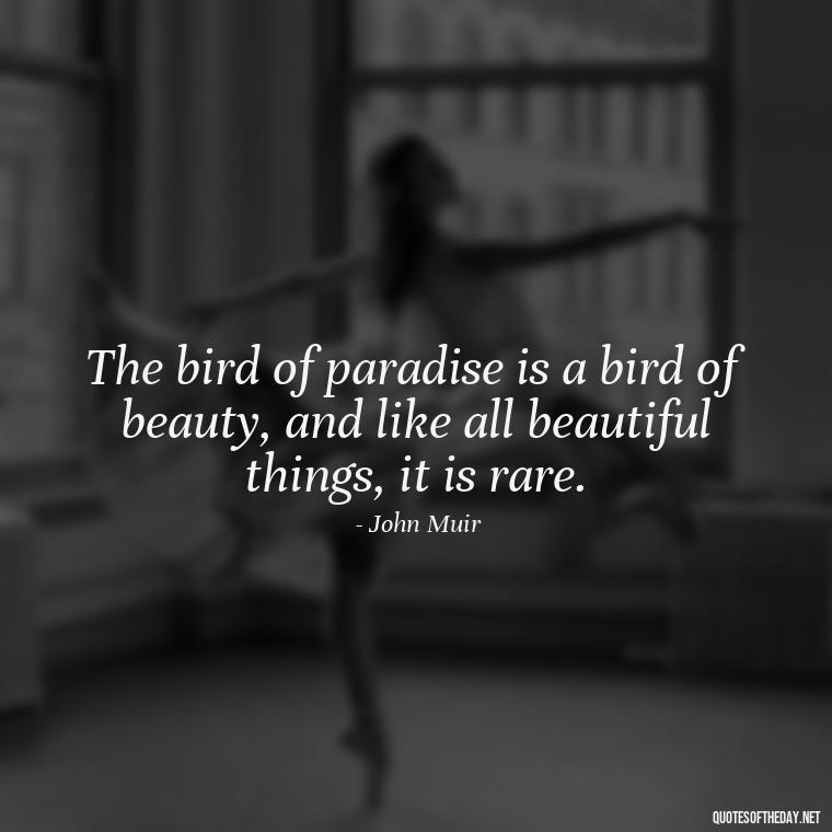 The bird of paradise is a bird of beauty, and like all beautiful things, it is rare. - Short Quotes On Birds