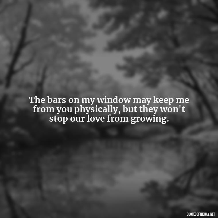 The bars on my window may keep me from you physically, but they won't stop our love from growing. - Quotes For Inmates In Love