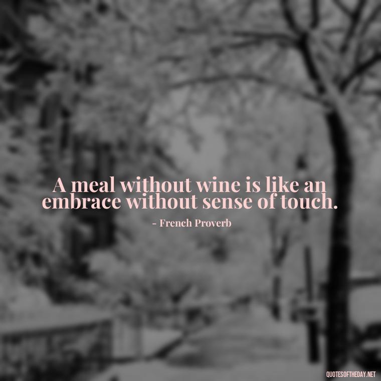 A meal without wine is like an embrace without sense of touch. - Quotes For Food Lover