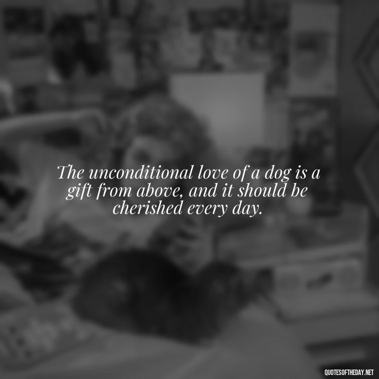 The unconditional love of a dog is a gift from above, and it should be cherished every day. - Dogs Love Unconditionally Quotes