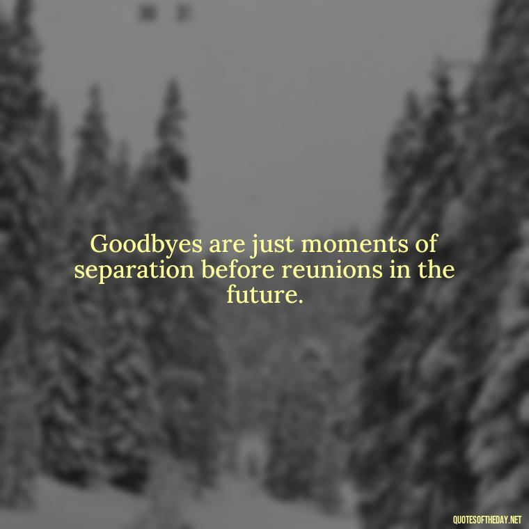 Goodbyes are just moments of separation before reunions in the future. - Short Quotes About Goodbye