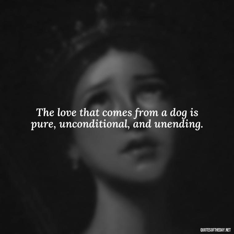 The love that comes from a dog is pure, unconditional, and unending. - Love Your Dog Quotes