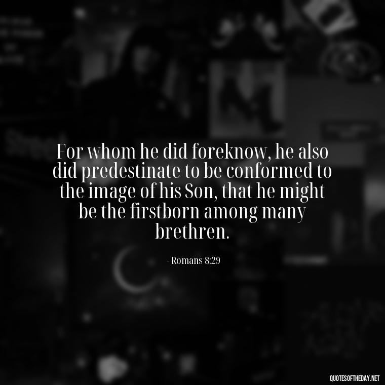 For whom he did foreknow, he also did predestinate to be conformed to the image of his Son, that he might be the firstborn among many brethren. - Bible Quotes About God'S Love For Us