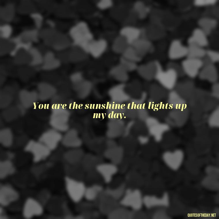 You are the sunshine that lights up my day. - Quotes About Sun And Love