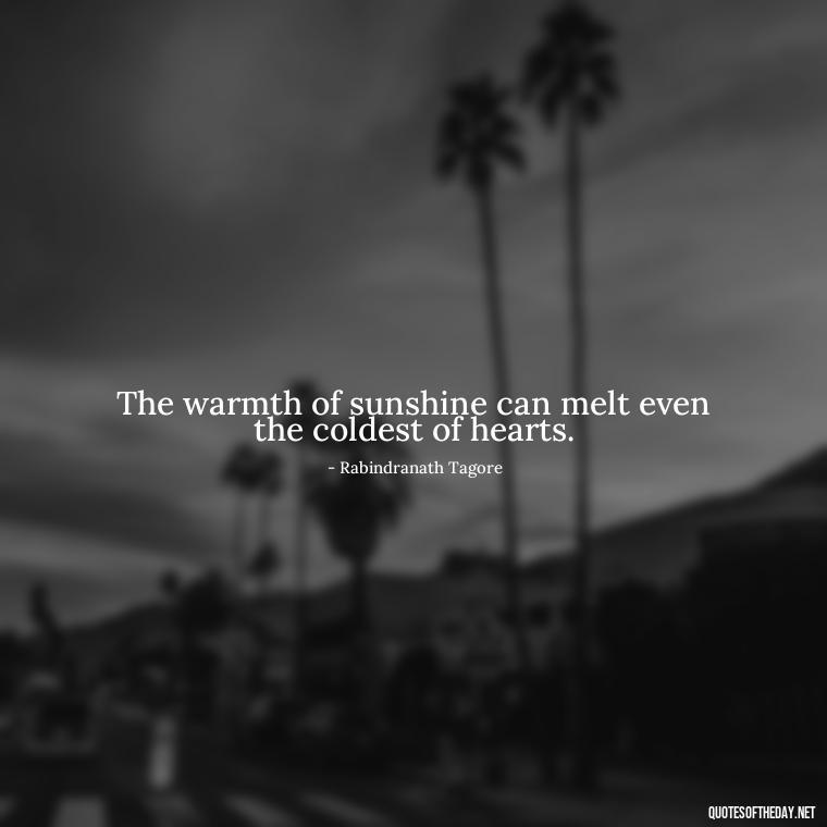 The warmth of sunshine can melt even the coldest of hearts. - Love The Sunshine Quotes