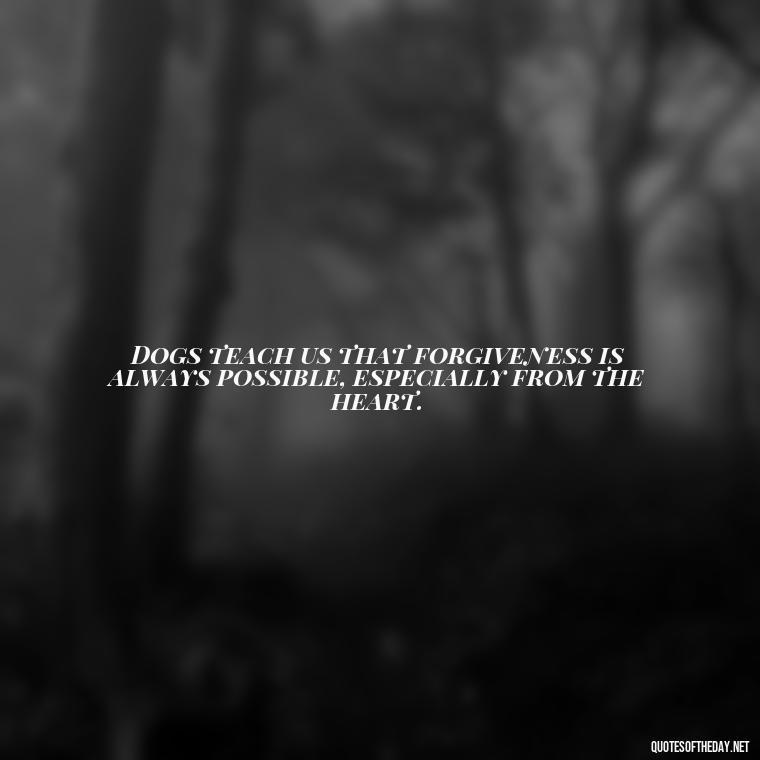 Dogs teach us that forgiveness is always possible, especially from the heart. - A Dogs Love Quote