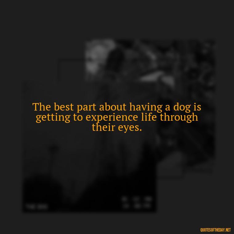 The best part about having a dog is getting to experience life through their eyes. - Love For My Dog Quotes