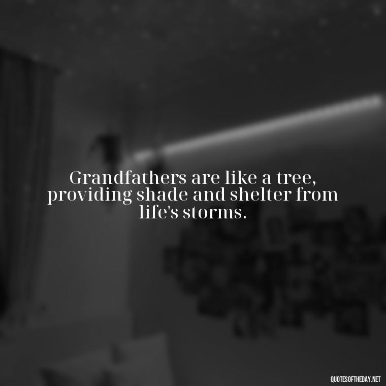 Grandfathers are like a tree, providing shade and shelter from life's storms. - Short Grandad Quotes