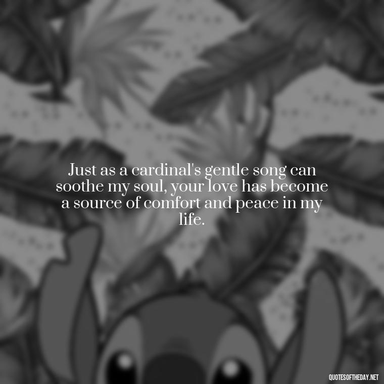 Just as a cardinal's gentle song can soothe my soul, your love has become a source of comfort and peace in my life. - Cardinal Loved One Quote