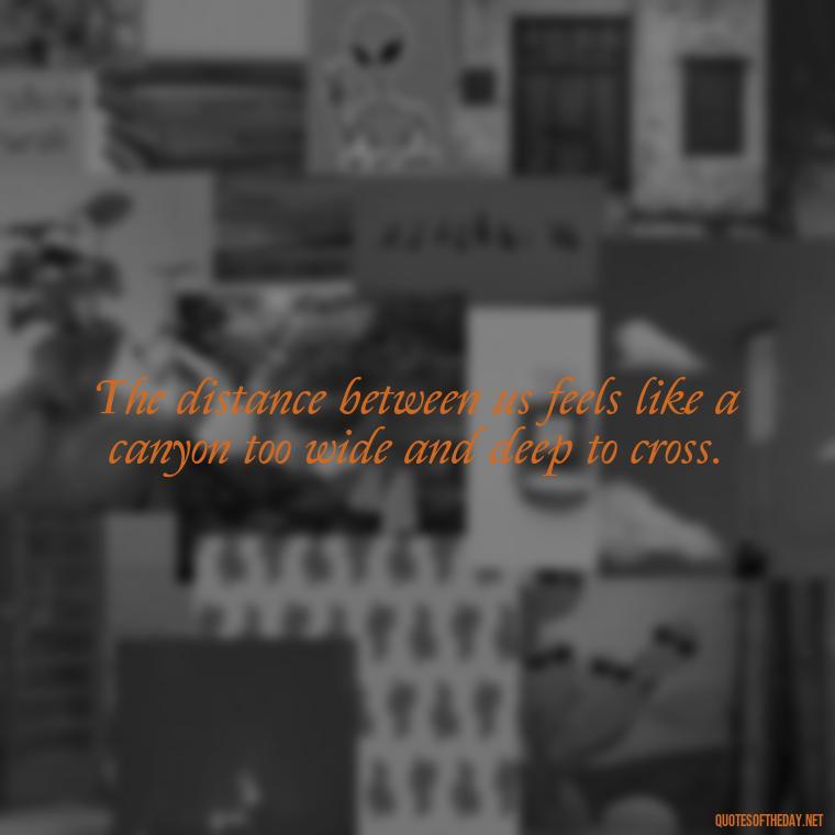 The distance between us feels like a canyon too wide and deep to cross. - Quotes About Missing Your Lover