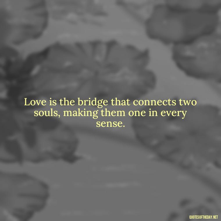 Love is the bridge that connects two souls, making them one in every sense. - Express The Love Quotes