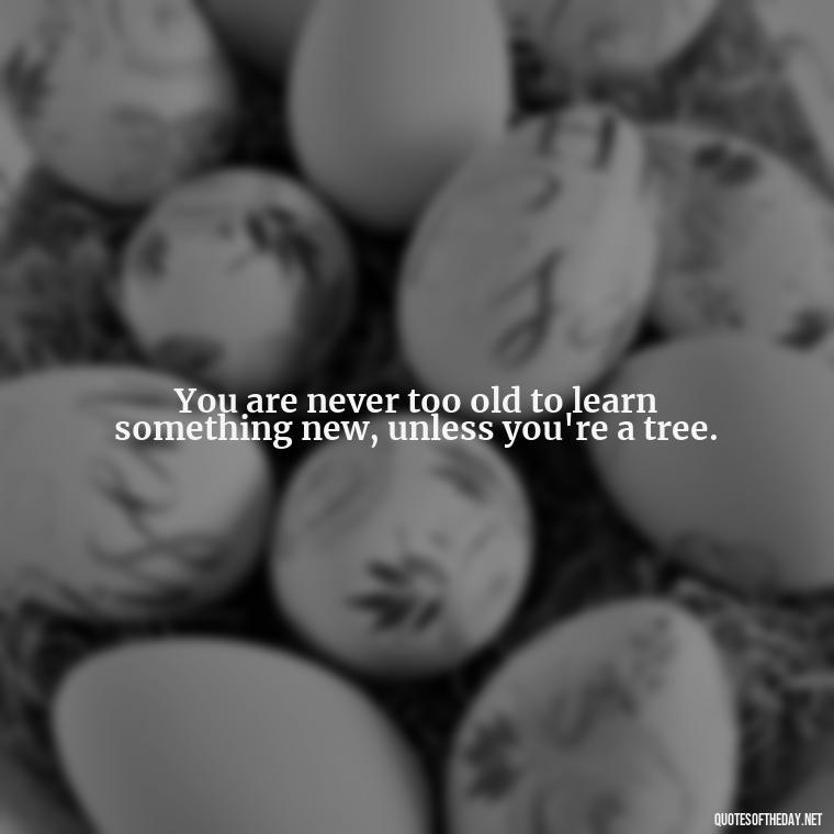 You are never too old to learn something new, unless you're a tree. - Short Clever Quotes