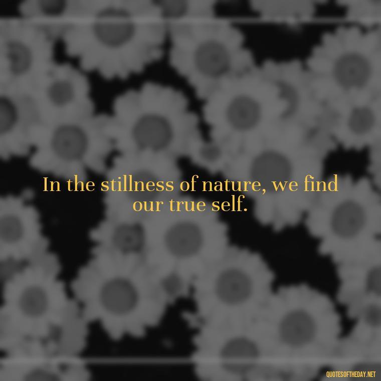 In the stillness of nature, we find our true self. - Quotes Nature Lover