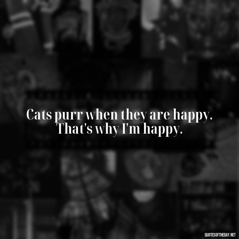 Cats purr when they are happy. That's why I'm happy. - Quotes About Pets Unconditional Love