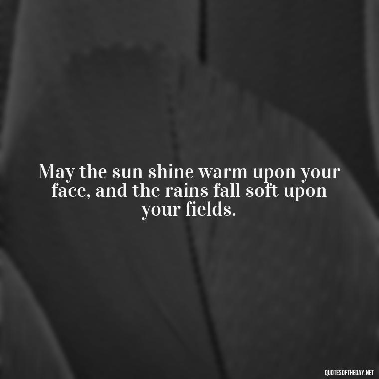 May the sun shine warm upon your face, and the rains fall soft upon your fields. - Short Irish Blessings Quotes