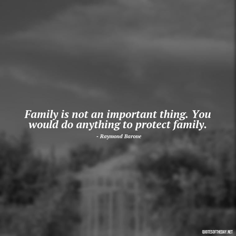 Family is not an important thing. You would do anything to protect family. - Everybody Loves Raymond Quotes