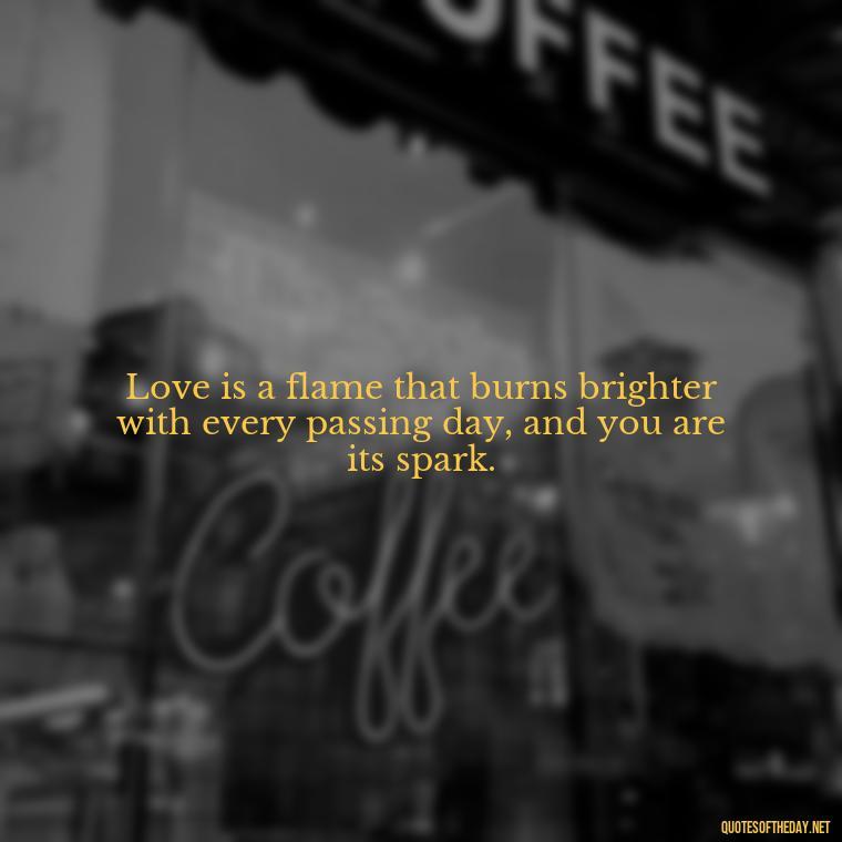 Love is a flame that burns brighter with every passing day, and you are its spark. - I Love You Quotes Images