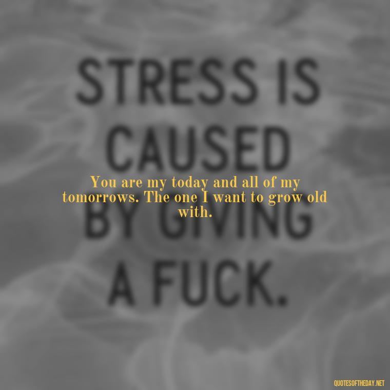 You are my today and all of my tomorrows. The one I want to grow old with. - 1 Line Love Quotes