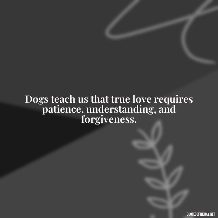 Dogs teach us that true love requires patience, understanding, and forgiveness. - Quotes About A Dogs Love