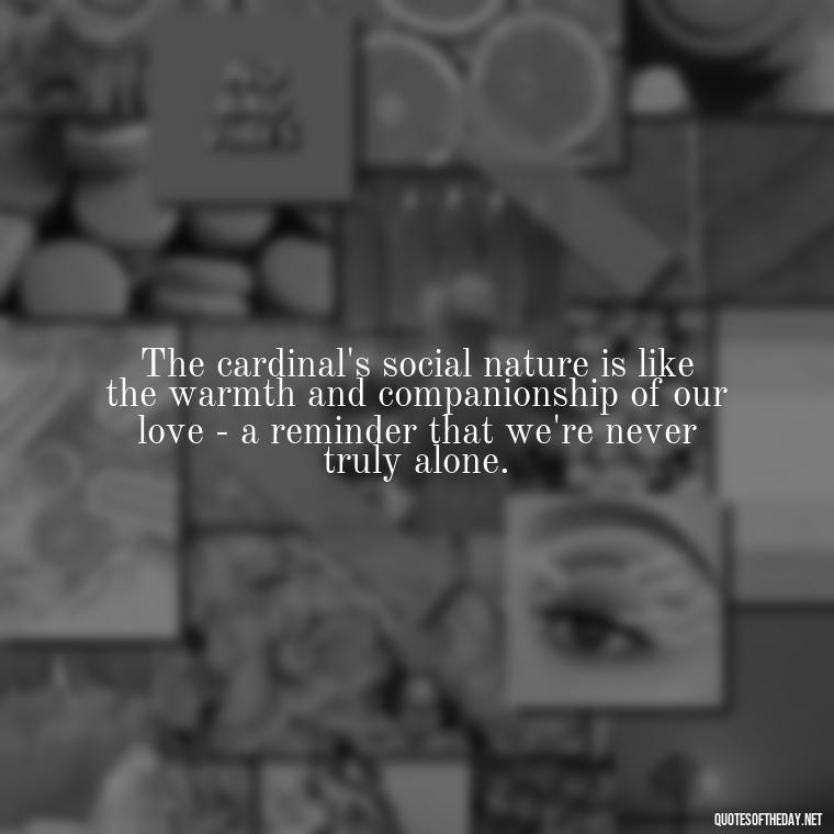 The cardinal's social nature is like the warmth and companionship of our love - a reminder that we're never truly alone. - Cardinal Loved One Quote