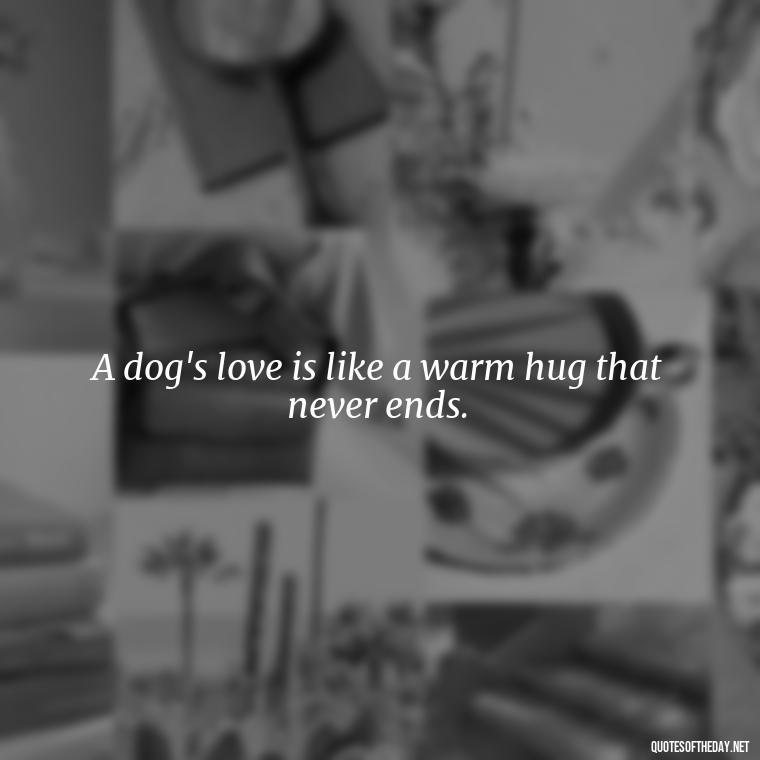 A dog's love is like a warm hug that never ends. - Quotes About A Dogs Love