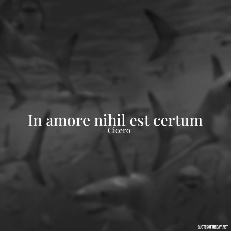 In amore nihil est certum - Quotes In Latin About Love