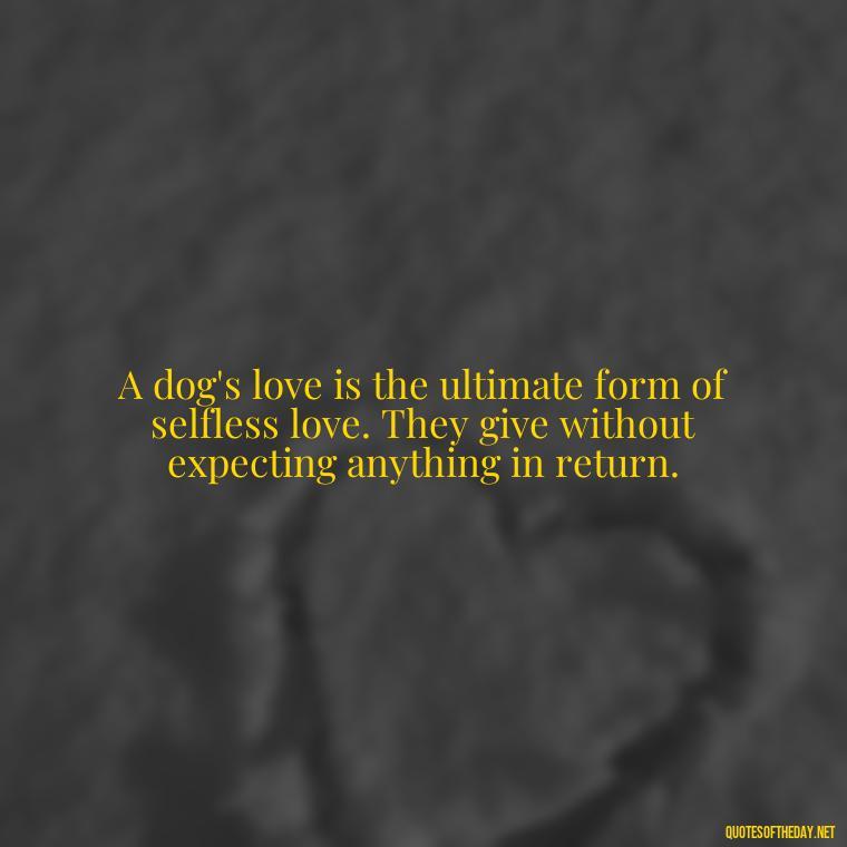 A dog's love is the ultimate form of selfless love. They give without expecting anything in return. - Quotes About A Dogs Love