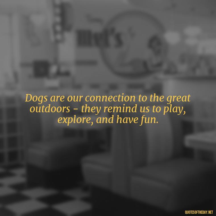 Dogs are our connection to the great outdoors - they remind us to play, explore, and have fun. - Dog Love Quotes For Instagram