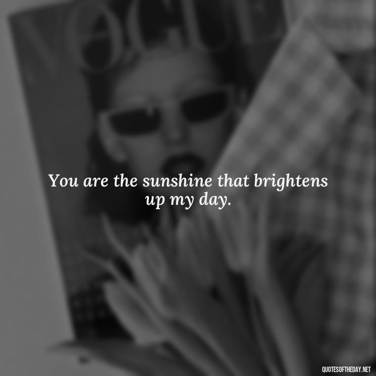 You are the sunshine that brightens up my day. - Quotes For Her Love