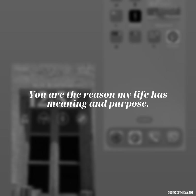 You are the reason my life has meaning and purpose. - Miss You Quotes Short