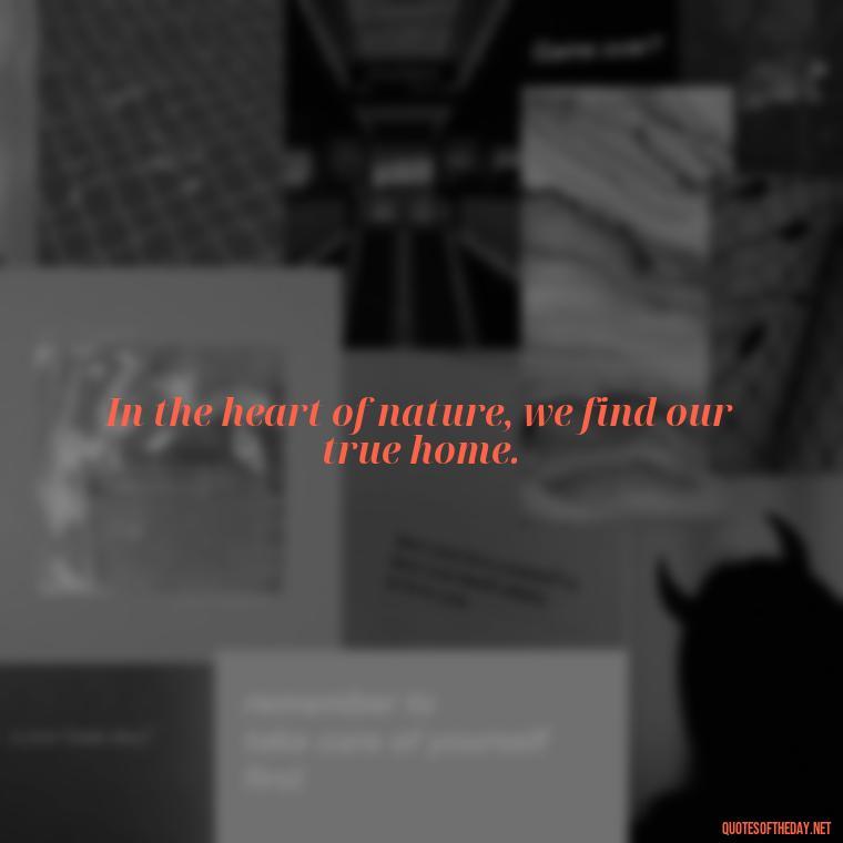 In the heart of nature, we find our true home. - Quotes Nature Lover