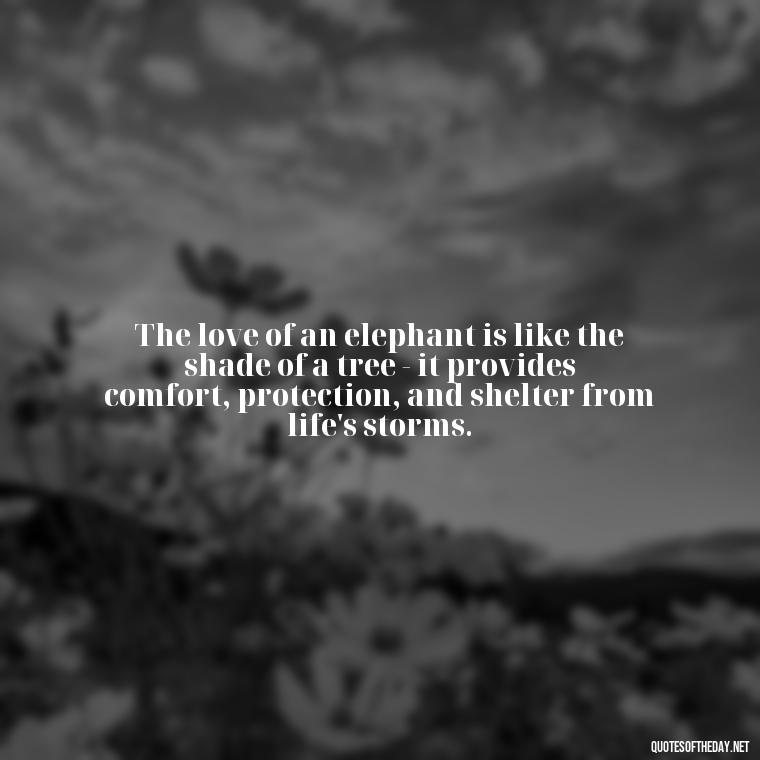 The love of an elephant is like the shade of a tree - it provides comfort, protection, and shelter from life's storms. - Elephant Love Quotes