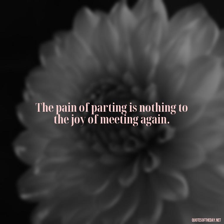 The pain of parting is nothing to the joy of meeting again. - Inspirational Quotes To Someone Who Lost A Loved One