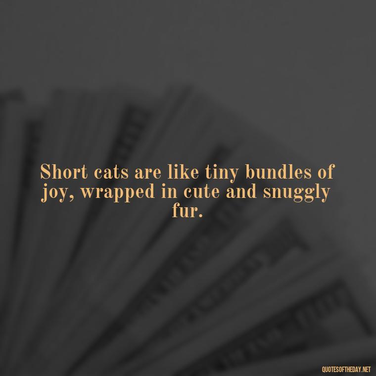 Short cats are like tiny bundles of joy, wrapped in cute and snuggly fur. - Short Cute Cat Quotes