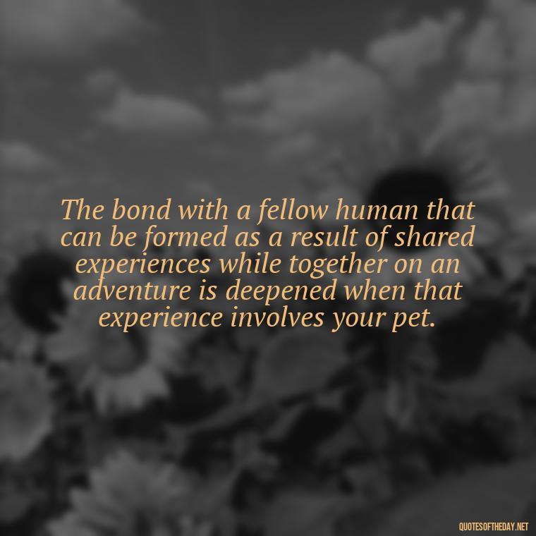 The bond with a fellow human that can be formed as a result of shared experiences while together on an adventure is deepened when that experience involves your pet. - Love For My Dog Quotes