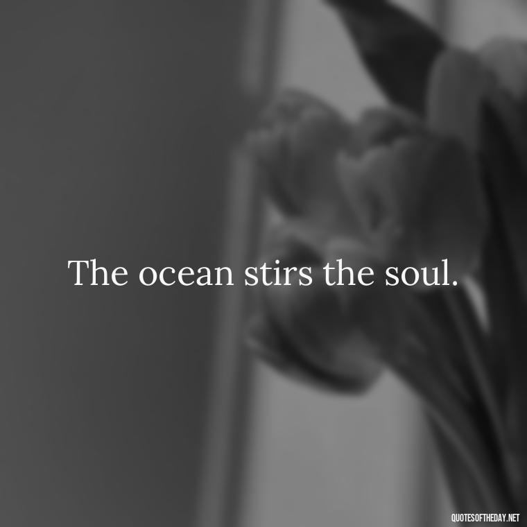 The ocean stirs the soul. - Cute Ocean Quotes Short